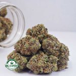 Buy Cannabis Gorilla Cookies AAA at MMJ Express Online Shop