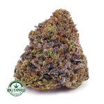 Buy Cannabis Purple Space Cake  AAAA at MMJ Express Online Shop