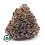 Buy Cannabis Grape Crush AAAA at MMJ Express Online Shop