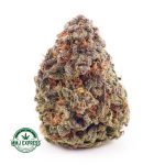 Buy Cannabis Guava Punch AAA MMJ Express Online Shop
