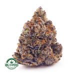 Buy Cannabis Khalifa Mints AAAA at MMJ Express Online Shop