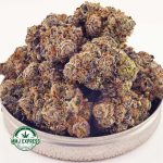 Buy Cannabis Khalifa Mints AAAA at MMJ Express Online Shop