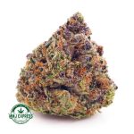 Buy Cannabis Island Sweet Skunk AAAA at MMJ Express Online Shop