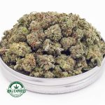 Buy Cannabis Pink Death AAA (Popcorn Nugs) MMJ Express Online Shop