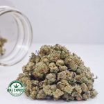 Buy Cannabis Animal Crackers AAAA (Popcorn Nugs) MMJ Express Online Shop