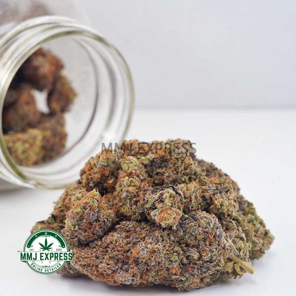 Buy Cannabis Purple Gelato AAAA MMJ Express Online Shop