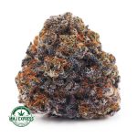 Buy Cannabis Purple Kush AA at MMJ Express Online Shop