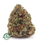 Buy Cannabis Colombian Gold AAA at MMJ Express Online Shop