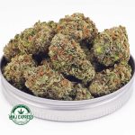 Buy Cannabis Colombian Gold AAA at MMJ Express Online Shop