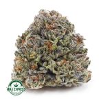 Buy Cannabis Master Jedi AA at MMJ Express Online Shop