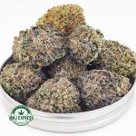 Buy Cannabis Master Jedi AA at MMJ Express Online Shop