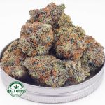 Buy Cannabis OG Octane AAAA+, Craft at MMJ Express Online Shop