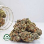 Buy Cannabis OG Octane AAAA+, Craft at MMJ Express Online Shop