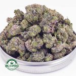 Buy Cannabis Platinum Rockstar AAAA (Popcorn Nugs) at MMJ Express Online Shop