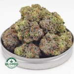 Buy Cannabis Fruit Punch AAAA at MMJ Express Online Shop