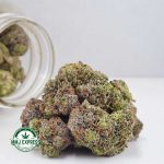 Buy Cannabis Fruit Punch AAAA at MMJ Express Online Shop