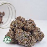 Buy Cannabis Grape Ape AAAA MMJ Express Online Shop