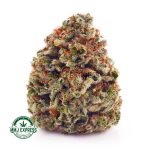 Buy Cannabis Amnesia Haze AA at MMJ Express Online Shop