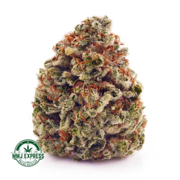 Buy Cannabis Amnesia Haze AA at MMJ Express Online Shop