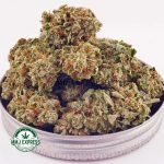 Buy Cannabis Amnesia Haze AA at MMJ Express Online Shop