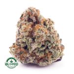 Buy Cannabis Biscotti Cookies AAA at MMJ Express Online Shop