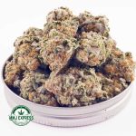 Buy Cannabis Biscotti Cookies AAA at MMJ Express Online Shop