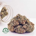 Buy Cannabis Biscotti Cookies AAA at MMJ Express Online Shop