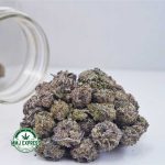 Buy Cannabis Purple Thunder Fuck AAAA (Popcorn Nugs) at MMJ Express Online Shop