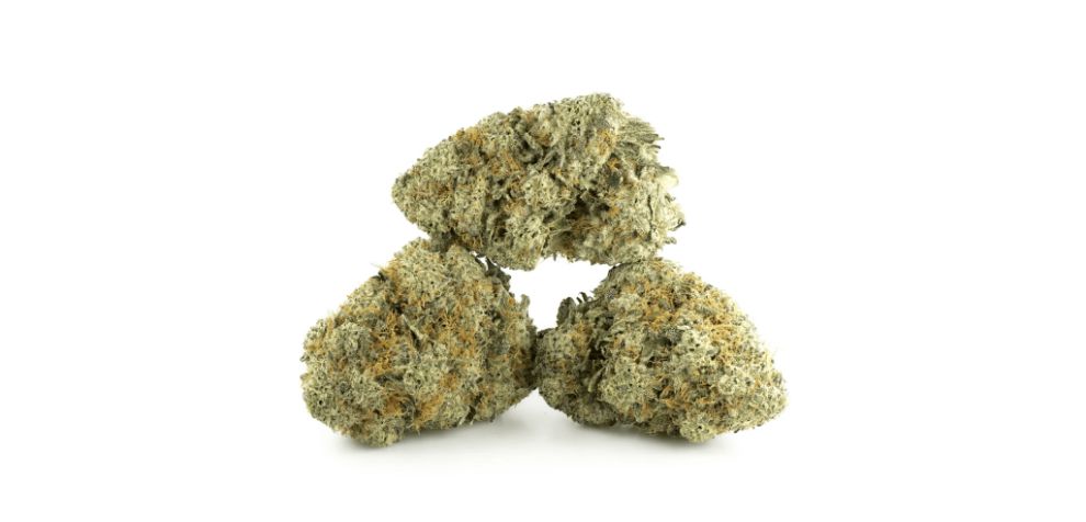 This Indica hybrid emerges from the cross between Triple OG and the legendary Grease Monkey.