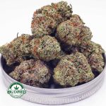 Buy Cannabis Mac Donut AAAA at MMJ Express Online Shop