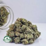 Buy Cannabis Kush Berry AAAA (Popcorn) at MMJ Express Online Shop