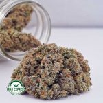 Buy Cannabis Guava Punch AAA MMJ Express Online Shop