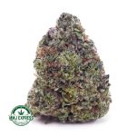 Buy Cannabis Purple Freeze AAAA+, Craft at MMJ Express Online Shop