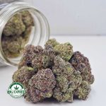 Buy Cannabis Purple Freeze AAAA+, Craft at MMJ Express Online Shop