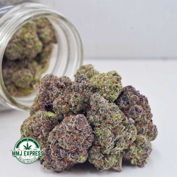 Buy Cannabis Purple Freeze AAAA+, Craft at MMJ Express Online Shop