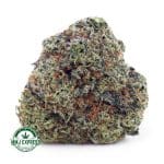 Buy Cannabis Super Skunk AAA at MMJ Express Online Shop