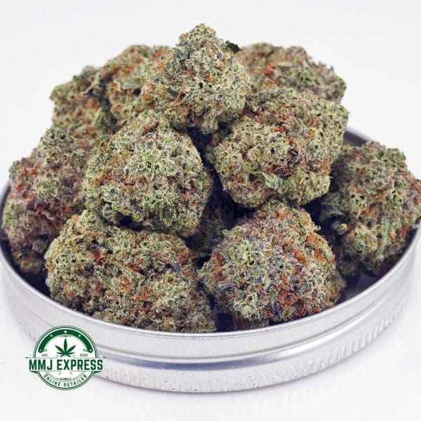 Buy Cannabis Super Skunk AAA at MMJ Express Online Shop