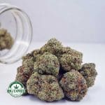 Buy Cannabis Super Skunk AAA at MMJ Express Online Shop