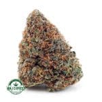 Buy Cannabis Peach Runtz AA at MMJ Express Online Shop
