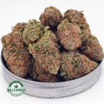 Buy Cannabis Peach Runtz AA at MMJ Express Online Shop