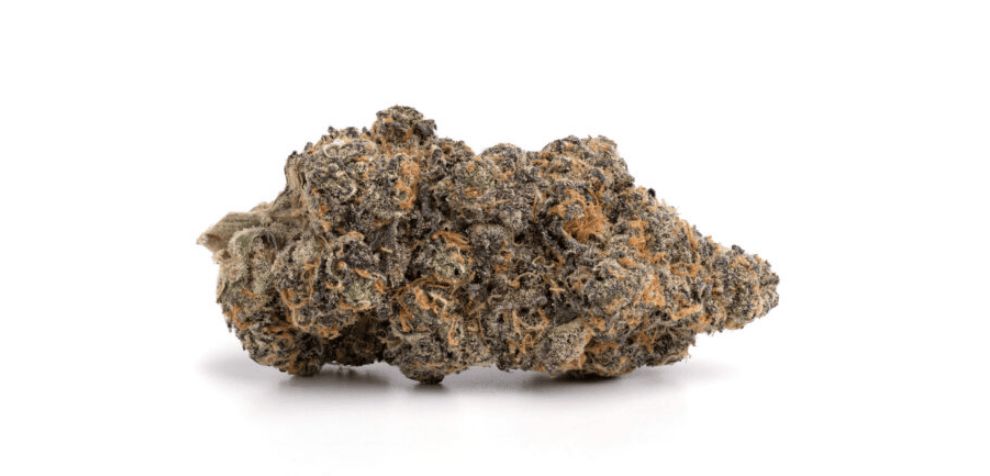 Purple Space Cookies offer balanced effects with moderately high potency levels that make you happy and relaxed. 