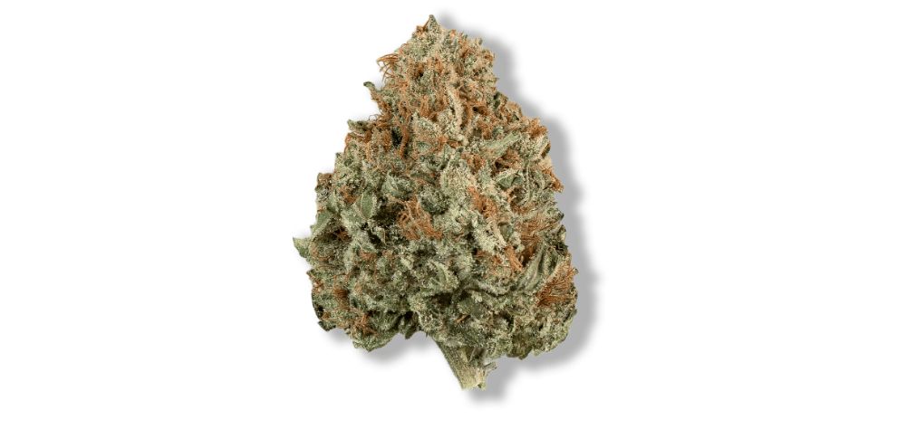 Train Wreck weed is mainly known as the dank weed variety. This strain's aroma evokes a forest full of pine and cedar, lighting up the whole room. 