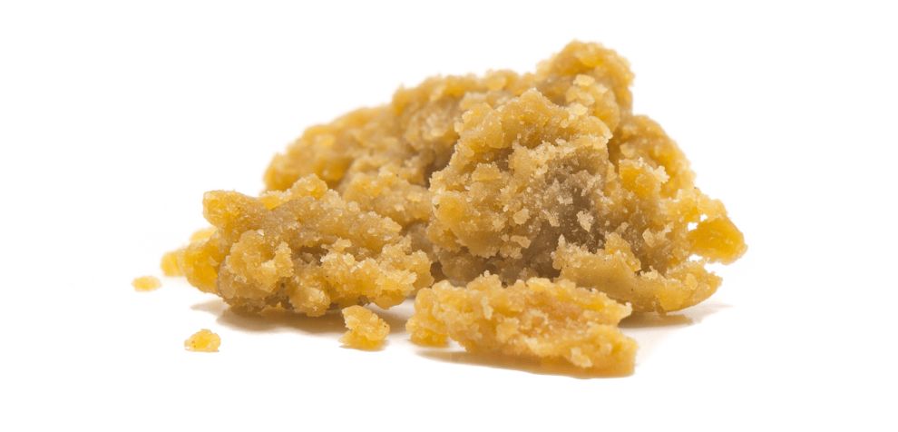 Quality marijuana concentrates like hash or shatter can contain anywhere from 50 to 90 percent THC or higher!