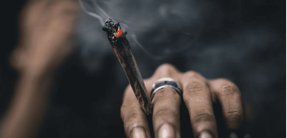 If you're trying out different ways to smoke weed but the joint won't stay lit, check the dryness of the cannabis. Make sure the cannabis isn't moist — it should be properly dried. 