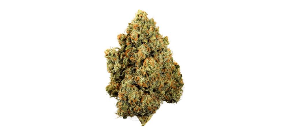 Yes, online weed is powerful and effective when you order it from a tried-and-tested dispensary. If you're looking for the most powerful strains, make sure your online dispensary provides lab-tested results that guarantee efficacy and purity.