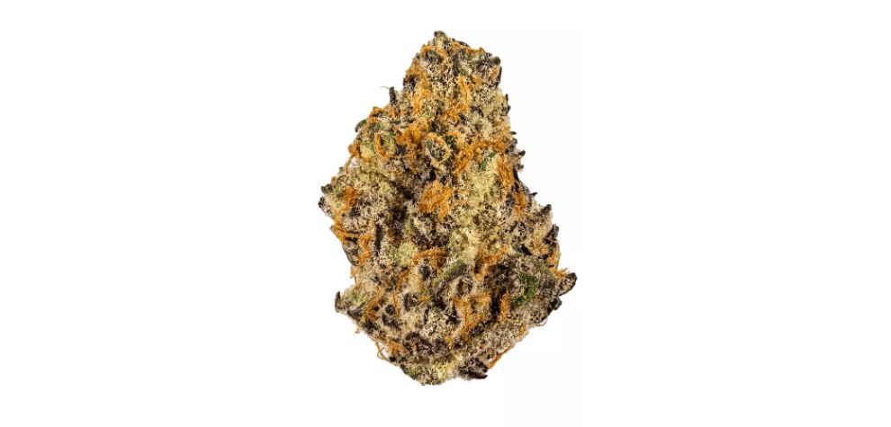 This review will dig deep like our detailed Purple Space Cookies guide. We'll tell you everything there is to know about Meat Breath, including its cannabinoid content, terpene profile, smells and flavours, and the effects that make it a kicker. 