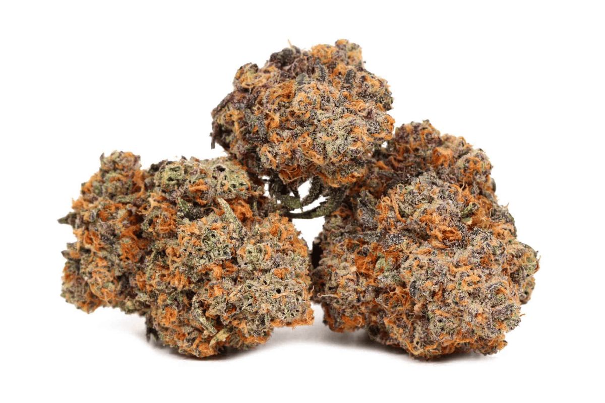 Meat Breath strain is a pungent hybrid with an aroma reminiscent of nature's most raw scents! Discover its effects, THC content, & top alternatives!