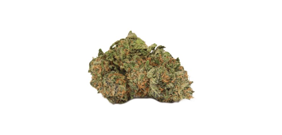 You can either benefit from the Mendo Breath recreational uses or enjoy its therapeutic side. 