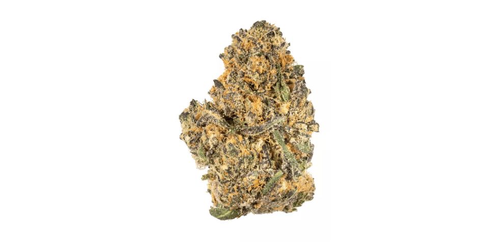 The parent OG Kush is believed to have been derived from the Girl Scout Cookies, which is known for its high THC levels. 