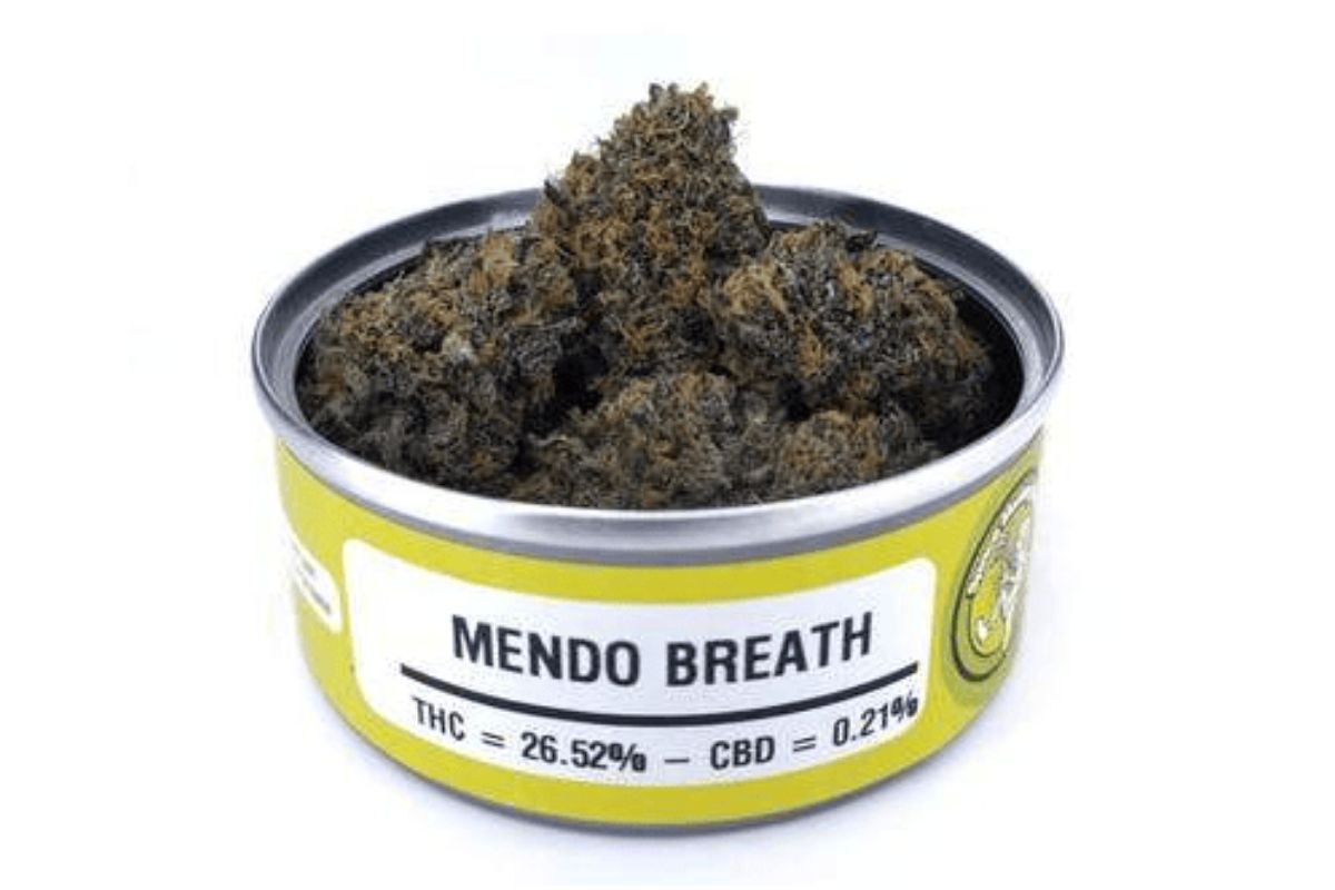 Looking for a heavy-hitting cannabis experience? Mendo Breath is all you need! Discover why you need to try out this strain next. 